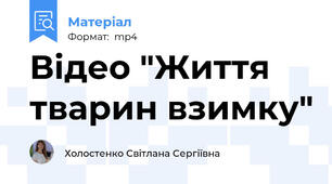 Відео "Життя тварин взимку"