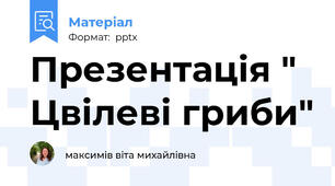 Презентація " Цвілеві гриби"