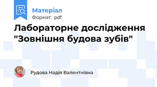 Лабораторне дослідження "Зовнішня будова зубів"