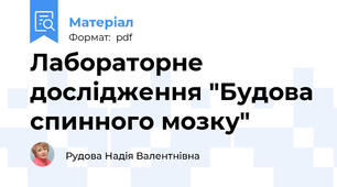 Лабораторне дослідження "Будова спинного мозку"