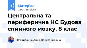 Центральна та периферична НС Будова спинного мозку. 8 клас