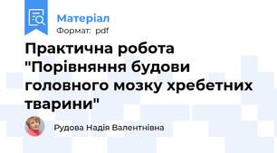 Практична робота "Порівняння будови головного мозку хребетних тварини"