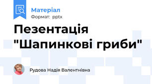 Пезентація  "Шапинкові гриби"