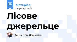 Лісове джерельце