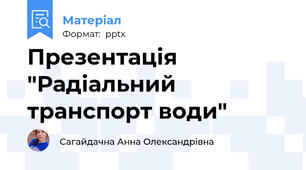 Презентація "Радіальний транспорт води"