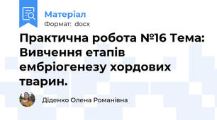Практична робота №16 Тема: Вивчення етапів ембріогенезу хордових тварин.