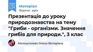 Презентація до уроку природознавства на тему "Гриби - організми. Значення грибів для природи.", 3 клас