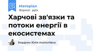 Харчові зв'язки та потоки енергії в екосистемах