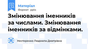 Змінювання іменників за числами. Змінювання іменників за відмінками.
