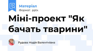 Міні-проект "Як бачать тварини"