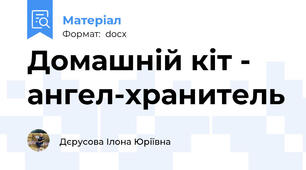 Домашній кіт - ангел-хранитель