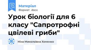Урок біології для 6 класу "Сапротрофні цвілеві гриби"