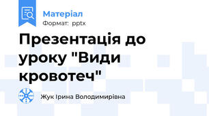 Презентація до уроку "Види кровотеч"