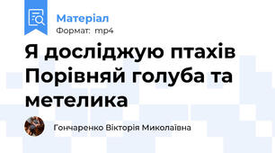 Я досліджую птахів Порівняй голуба та метелика