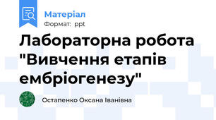 Лабораторна робота "Вивчення етапів ембріогенезу"
