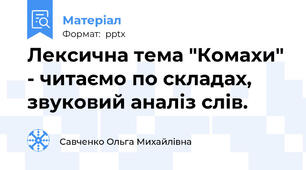Лексична тема "Комахи" - читаємо по складах, звуковий аналіз слів.