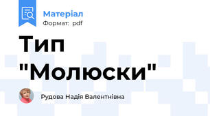 Тип "Молюски"