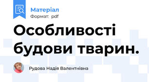 Особливості будови тварин.
