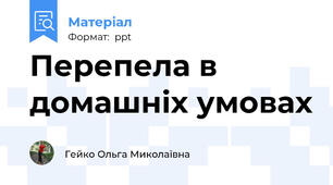 Перепела в домашніх умовах