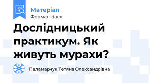 Дослідницький практикум. Як живуть мурахи?