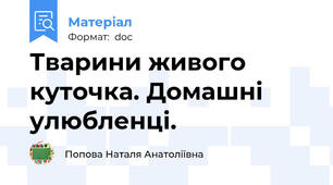 Тварини живого куточка. Домашні улюбленці.