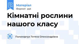Кімнатні рослини нашого класу