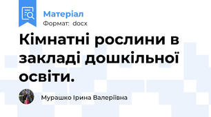 Кімнатні рослини в закладі дошкільної освіти.