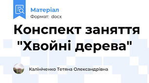 Конспект заняття  "Хвойні дерева"