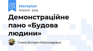 Демонстраційне пано «Будова людини»