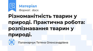 Різноманітність тварин у природі. Практична робота: розпізнавання тварин у природі.