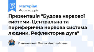 Презентація "Будова нервової системи. Центральна та периферична нервова система людини. Рефлекторна дуга"