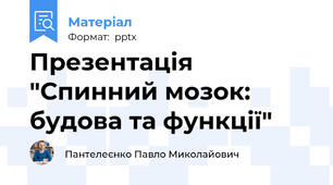 Презентація "Спинний мозок: будова та функції"
