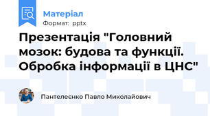 Презентація "Головний мозок: будова та функції. Обробка інформації в ЦНС"