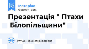 Презентація " Птахи  Білопільщини"