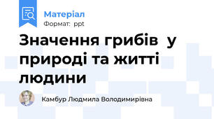 Значення грибів  у природі та житті людини