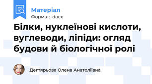 Білки, нуклеїнові кислоти, вуглеводи, ліпіди: огляд будови й біологічної ролі