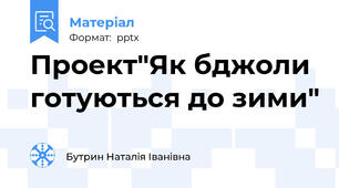 Проект"Як бджоли готуються до зими"