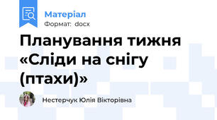 Планування тижня «Сліди на снігу (птахи)»