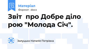 Звіт  про Добре діло  рою "Молода Січ".