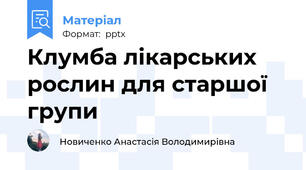 Клумба лікарських рослин для старшої групи
