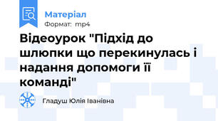 Відеоурок "Підхід до шлюпки що перекинулась і надання допомоги її команді"