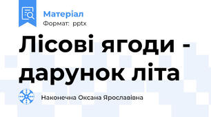 Лісові ягоди - дарунок літа