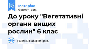До уроку "Вегетативні органи вищих рослин" 6 клас