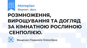 РОЗМНОЖЕННЯ, ВИРОЩУВАННЯ ТА ДОГЛЯД  ЗА КІМНАТНОЮ РОСЛИНОЮ  СЕНПОЛІЄЮ.