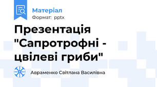 Презентація  "Сапротрофні - цвілеві гриби"