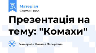 Презентація на тему: "Комахи"