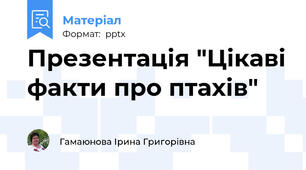 Презентація "Цікаві факти про птахів"