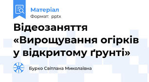 Відеозаняття «Вирощування огірків у відкритому ґрунті»