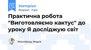 Практична робота "Виготовляємо кактус" до уроку Я досліджую світ