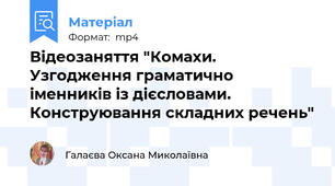 Відеозаняття "Комахи. Узгодження граматично іменників із дієсловами. Конструювання складних речень"